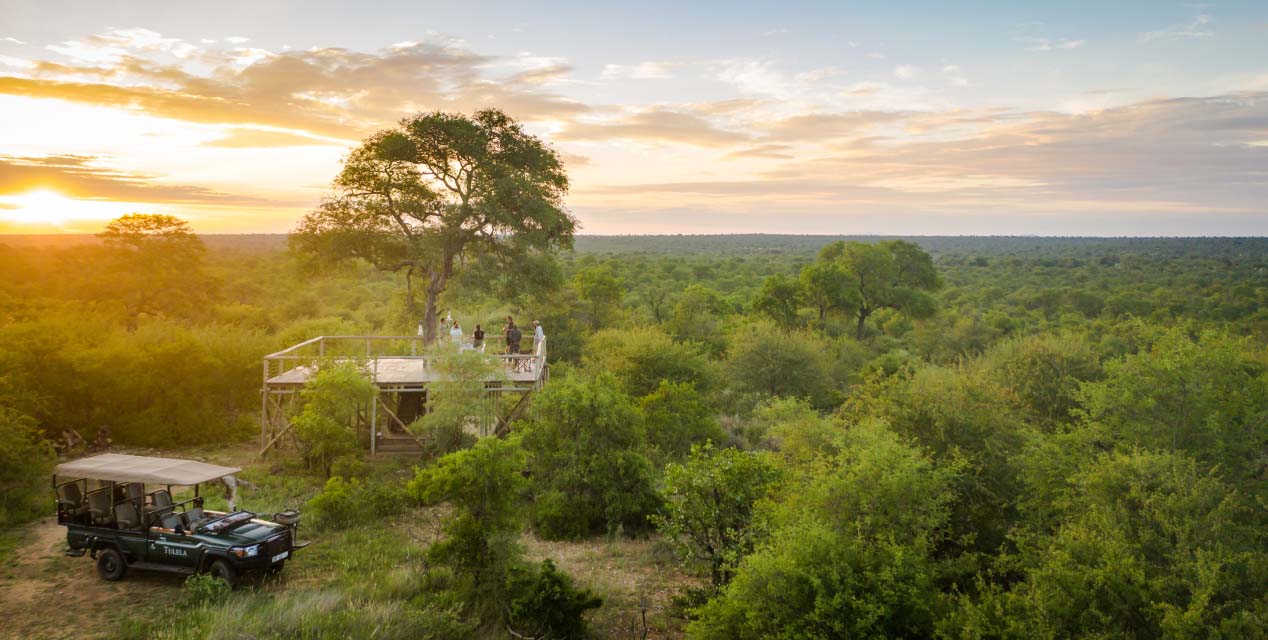 Summer’s Arrival: A Vibrant Journey in the Klaserie Private Game Reserve