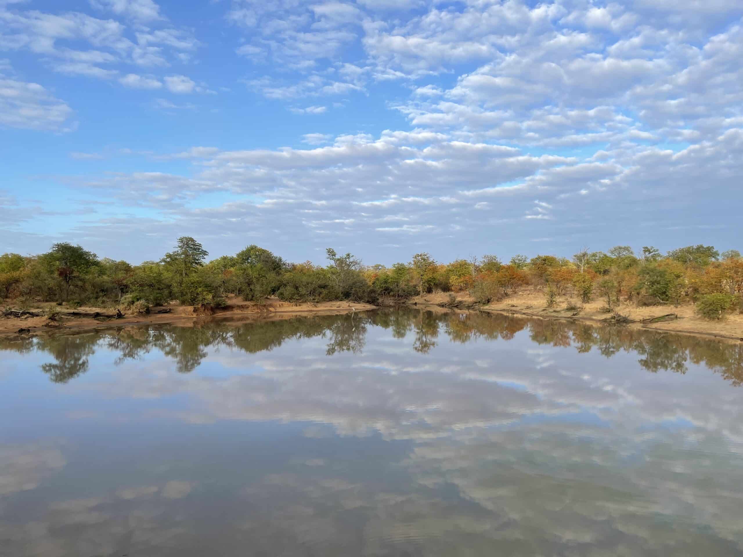Winter Wonders at Tulela Safari Lodge