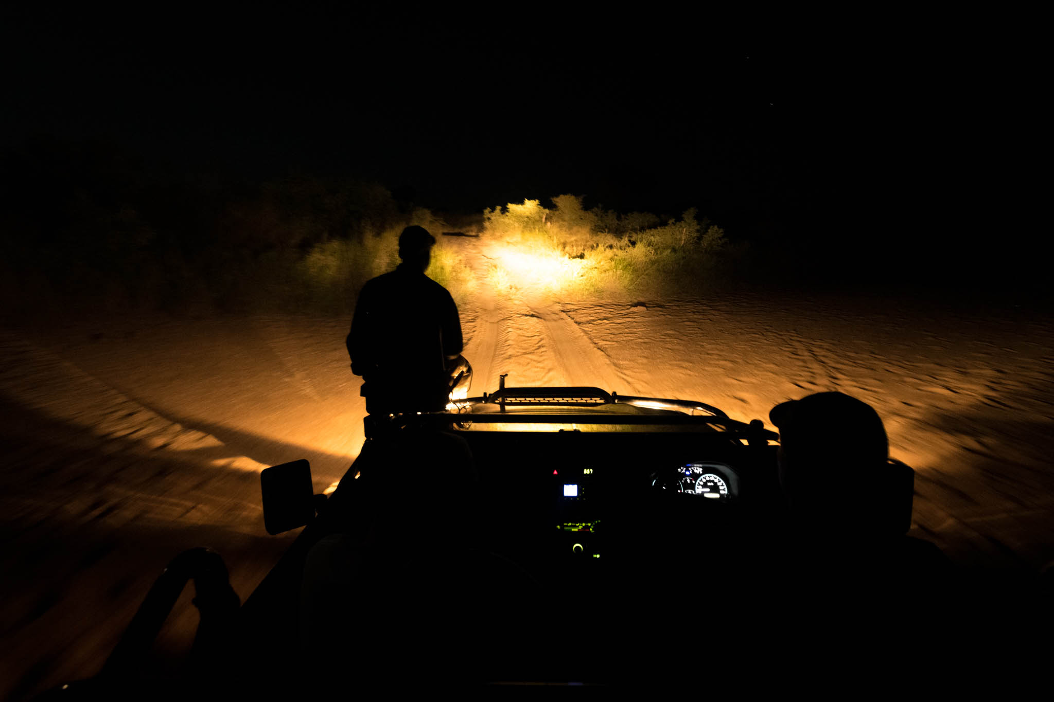 tulela Night Safari Drive