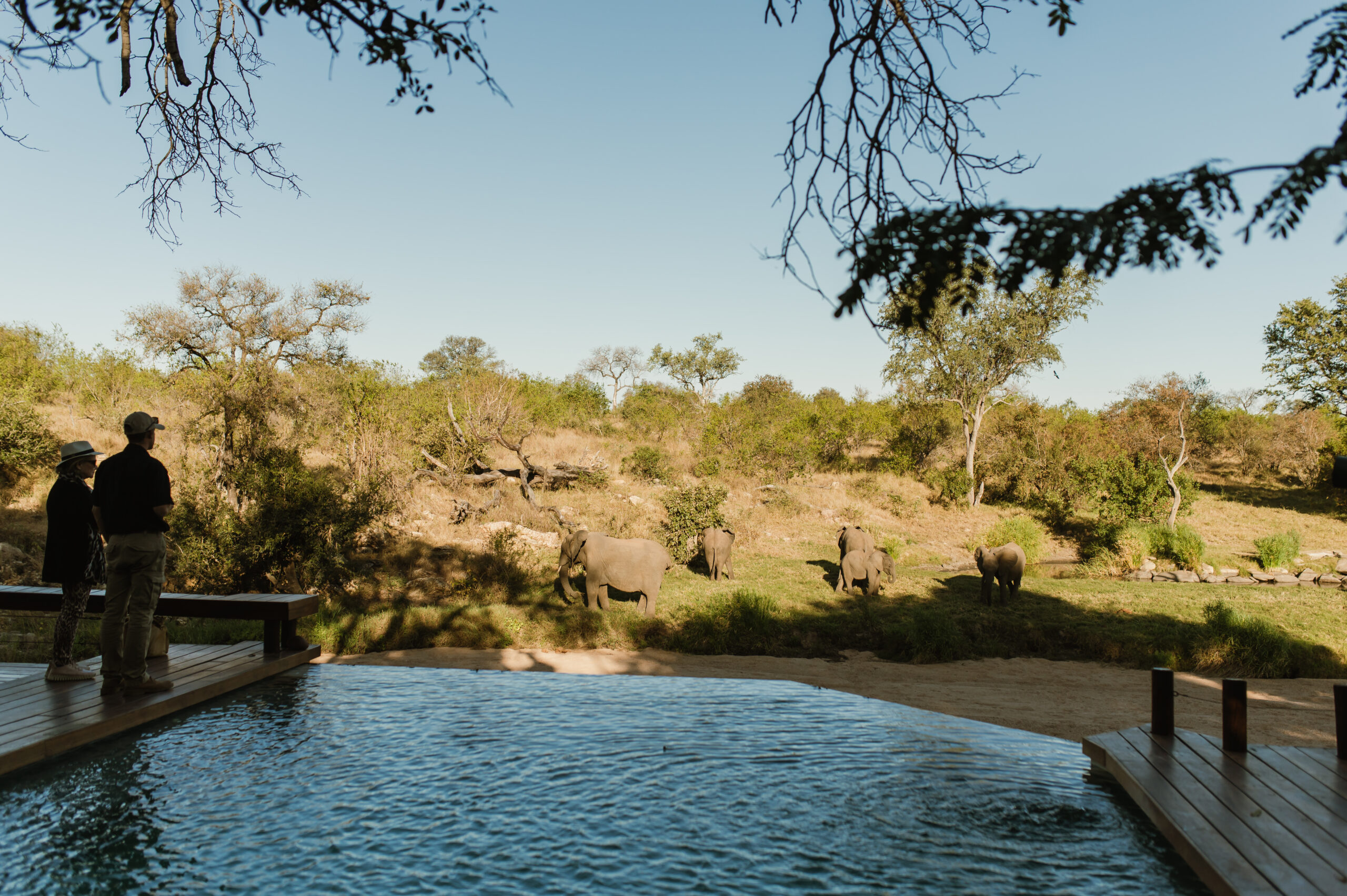 Tulela Safari Lodge